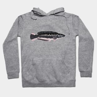 Giant Snakehead Hoodie